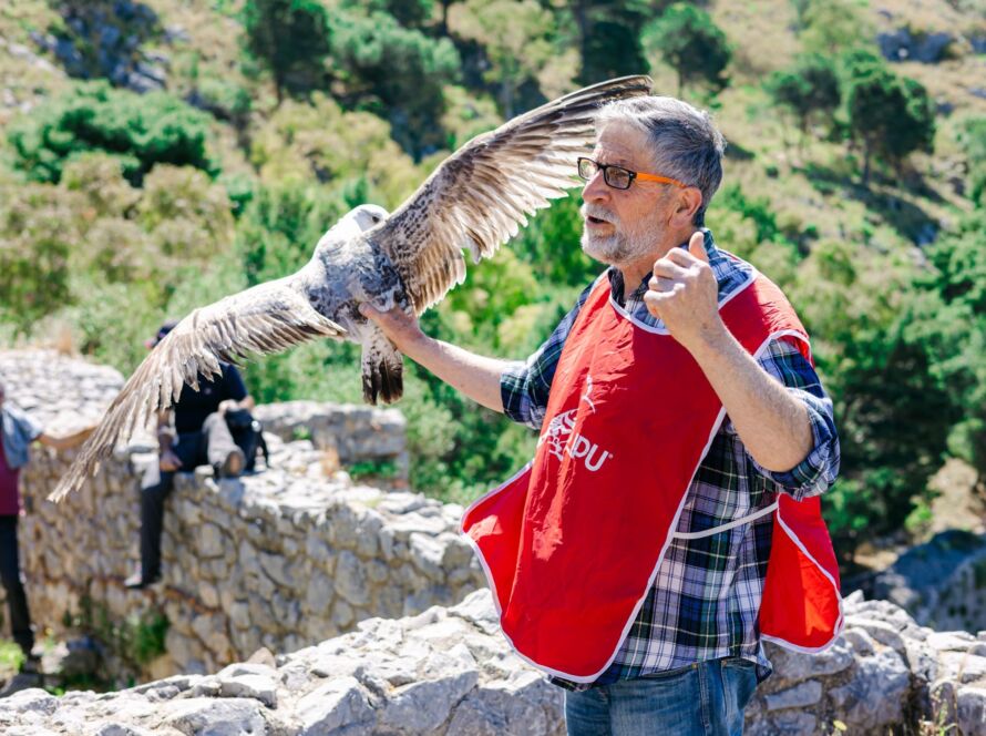 liberazione volatili earth day cefalu