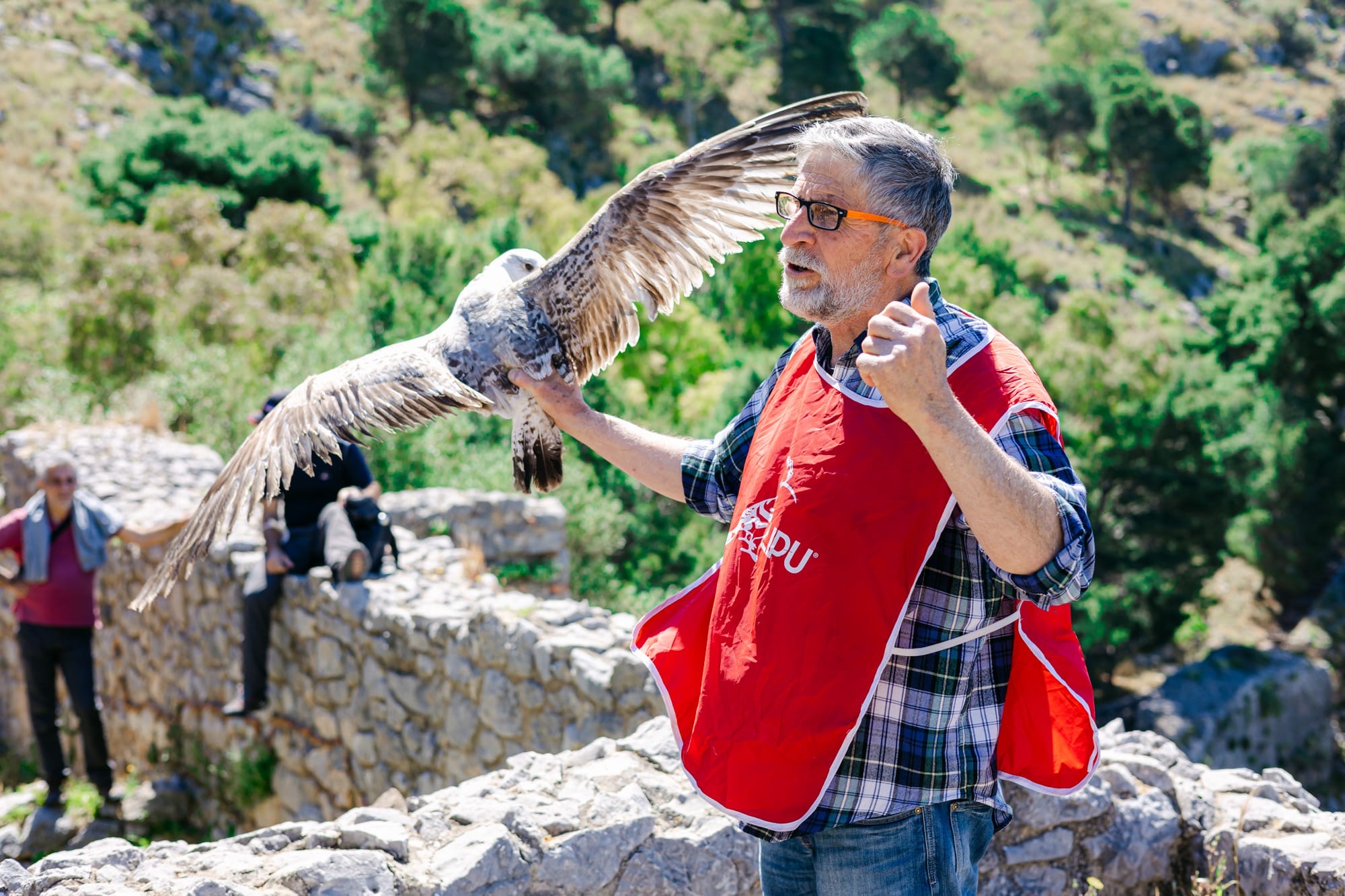 liberazione volatili earth day cefalu